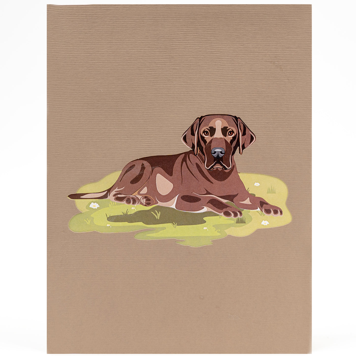 Hund Labrador Pop-Up Karte (Braun)