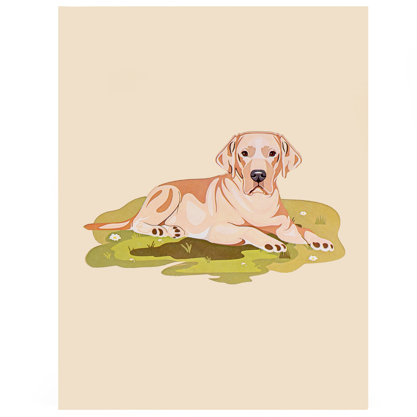 Hund Labrador Pop-Up Karte (Beige)