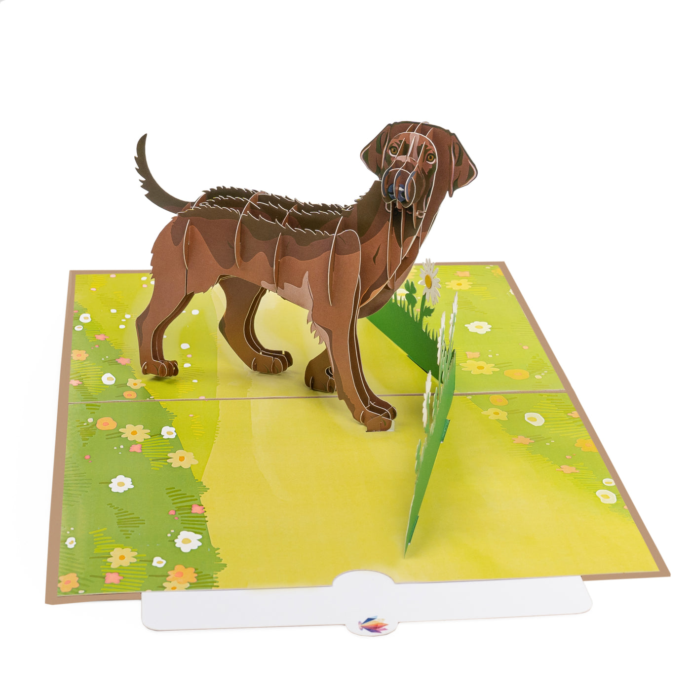 Hund Labrador Pop-Up Karte (Braun)