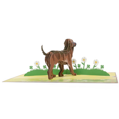Hund Labrador Pop-Up Karte (Braun)