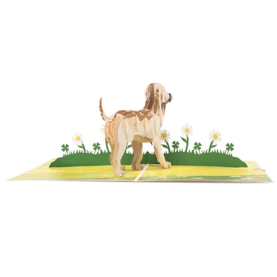 Hund Labrador Pop-Up Karte (Beige)