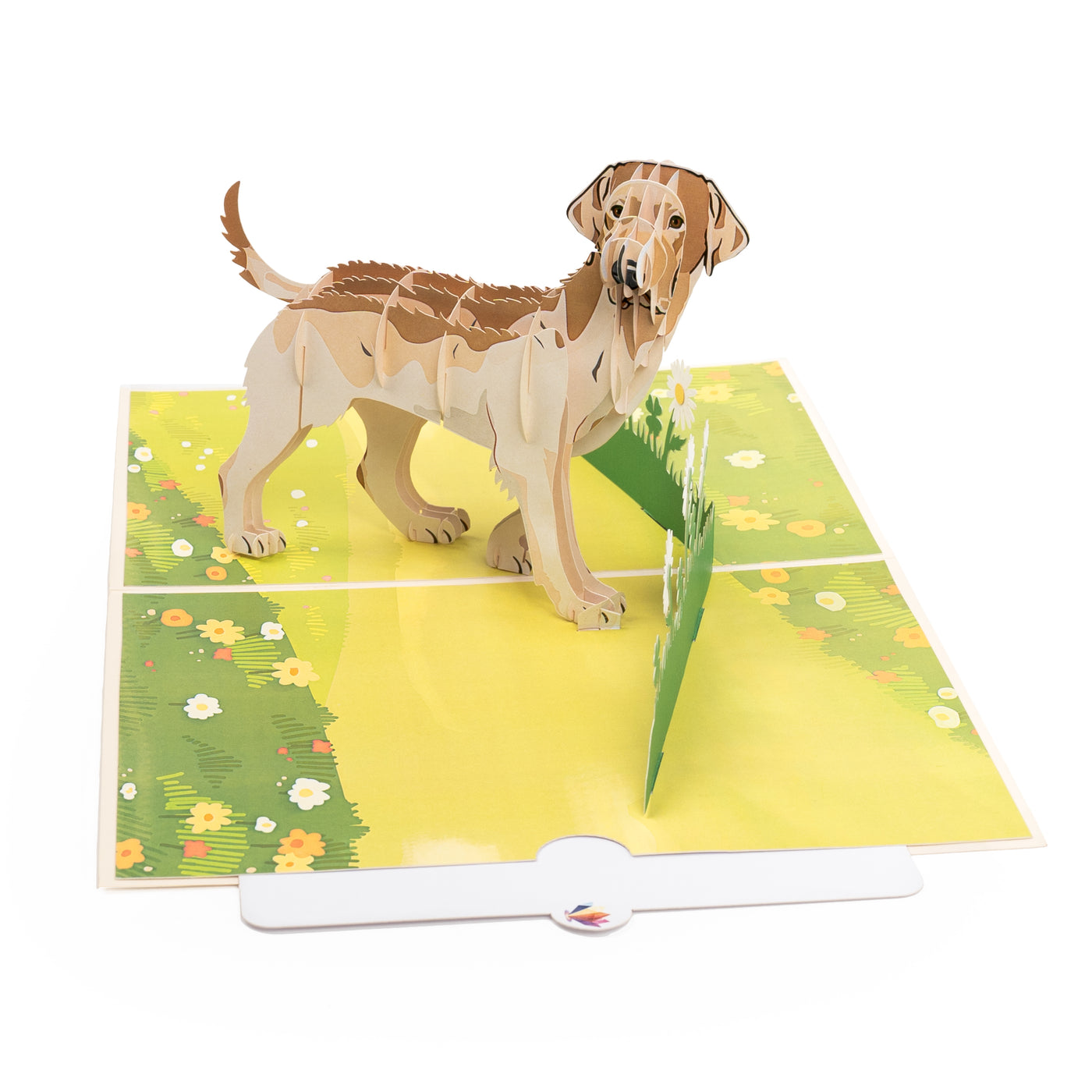 Hund Labrador Pop-Up Karte (Beige)