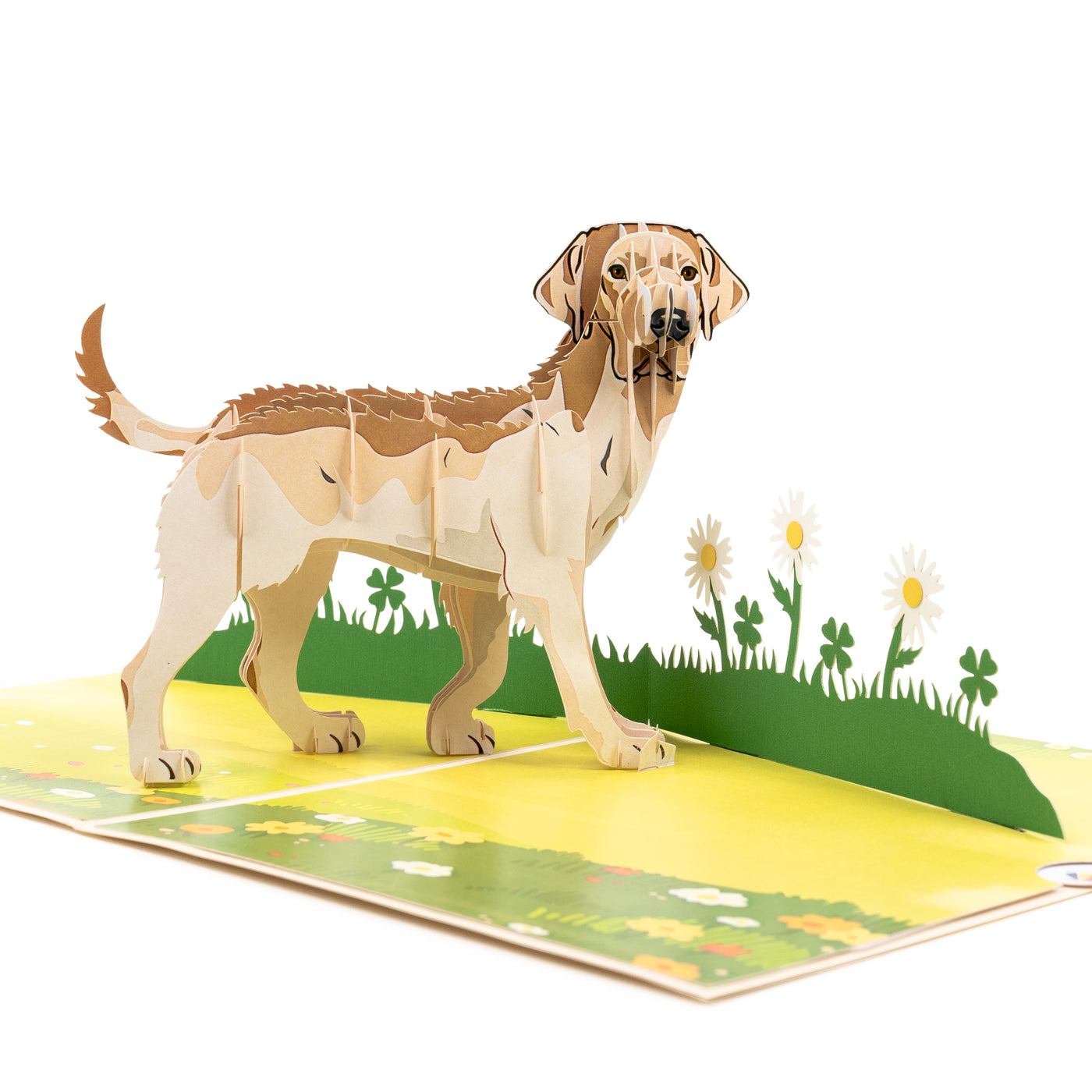Hund Labrador Pop-Up Karte (Beige)