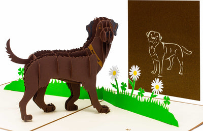 Labrador Braun Pop-Up Karte