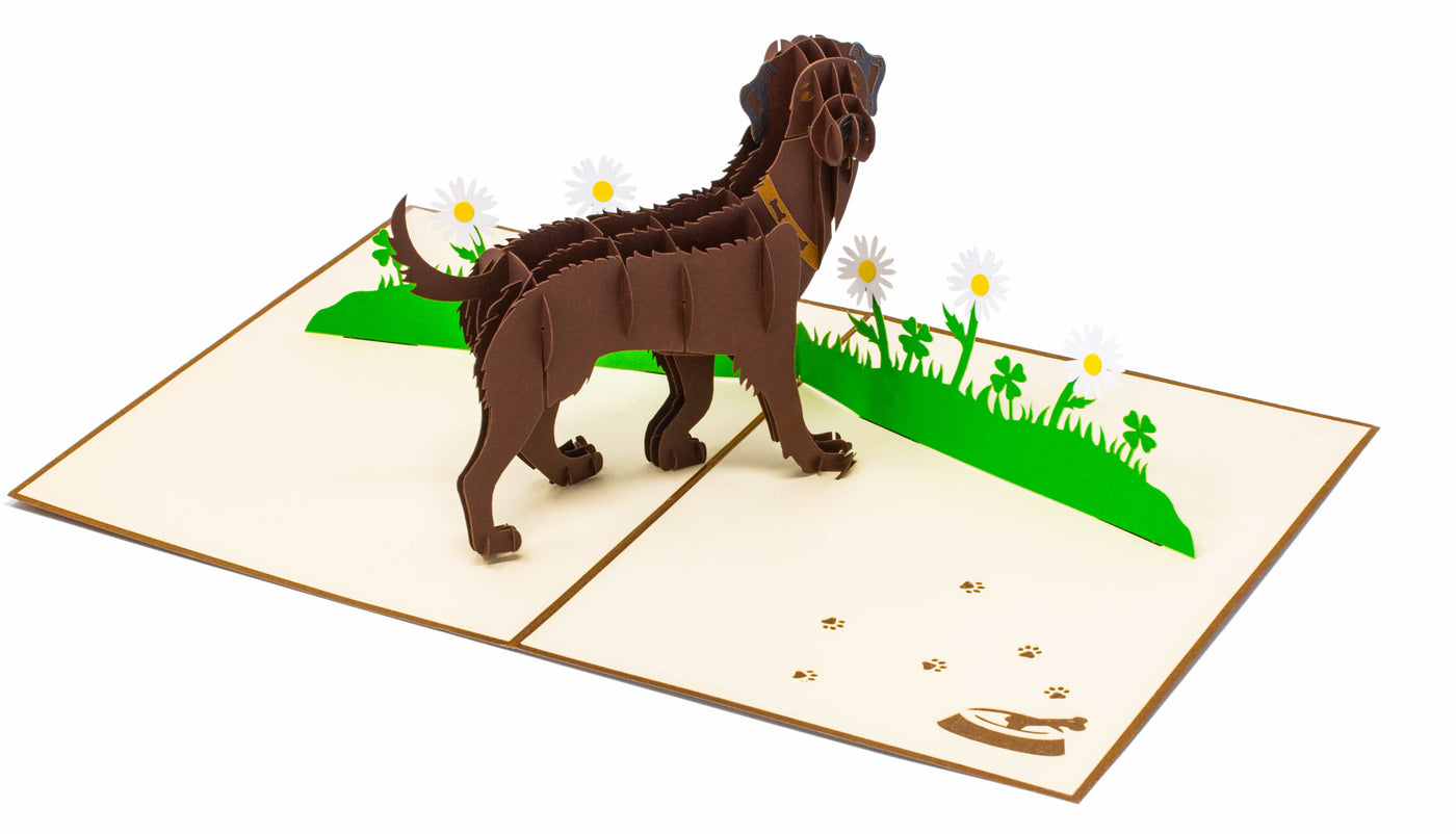 Labrador Braun Pop-Up Karte