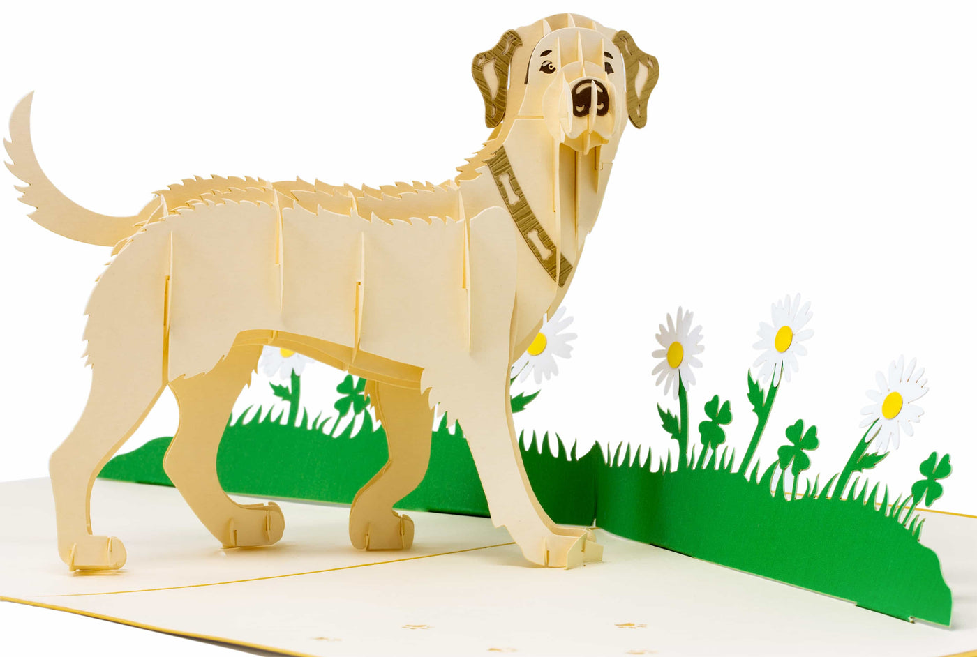 Labrador Beige Pop-Up Karte