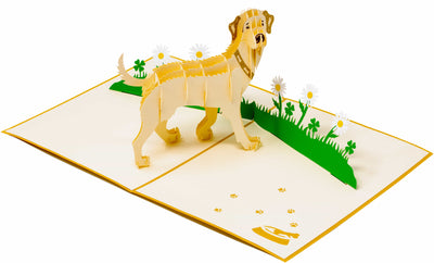 Labrador Beige Pop-Up Karte