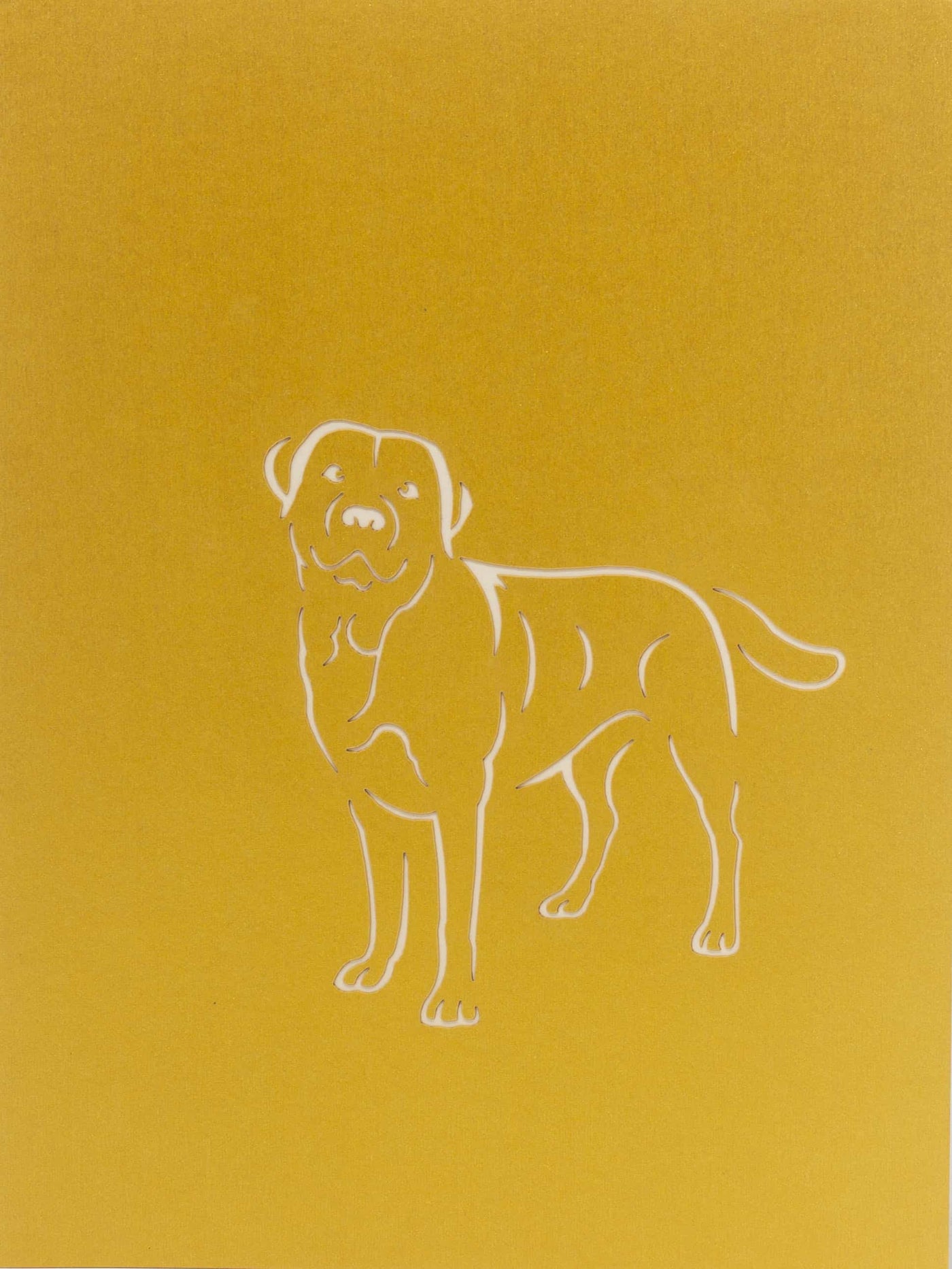 Labrador Beige Pop-Up Karte