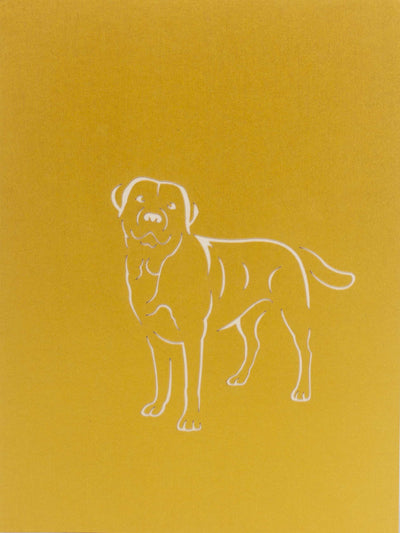 Labrador Beige Pop-Up Karte